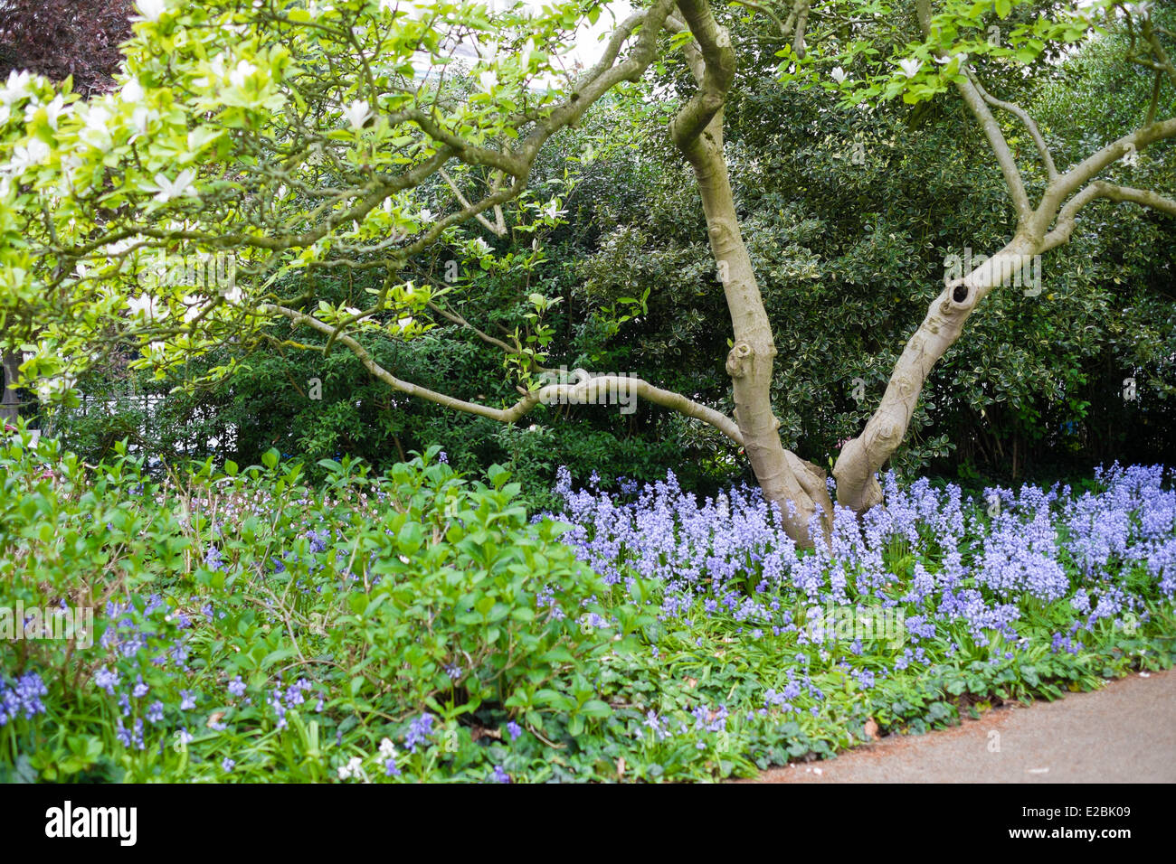 Flowers and parks hi-res stock photography and images - Alamy