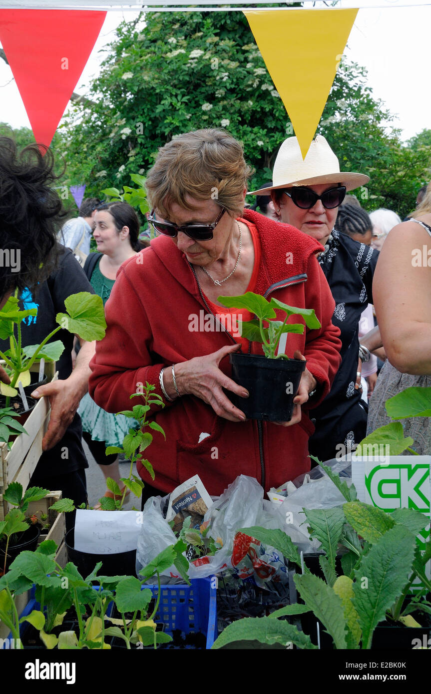 Alexandra palace allotments plant sale hires stock photography and