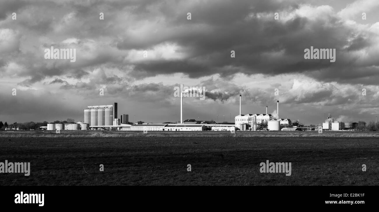 A view of Cantley Sugar Beet Factory , Norfolk, England Stock Photo Alamy