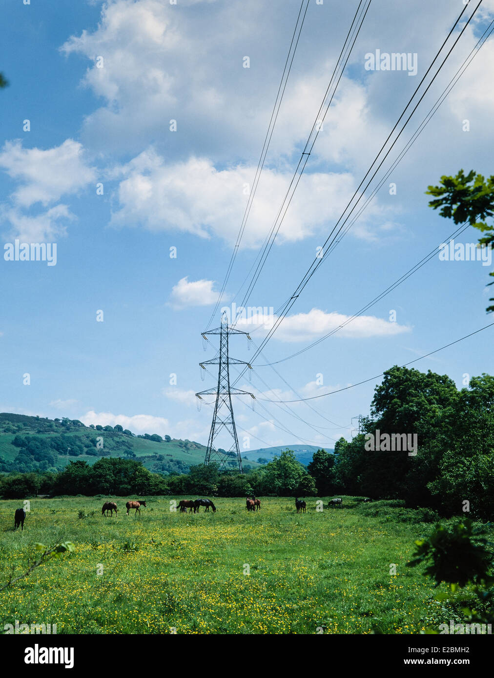 Transmission lines hires stock photography and images Alamy