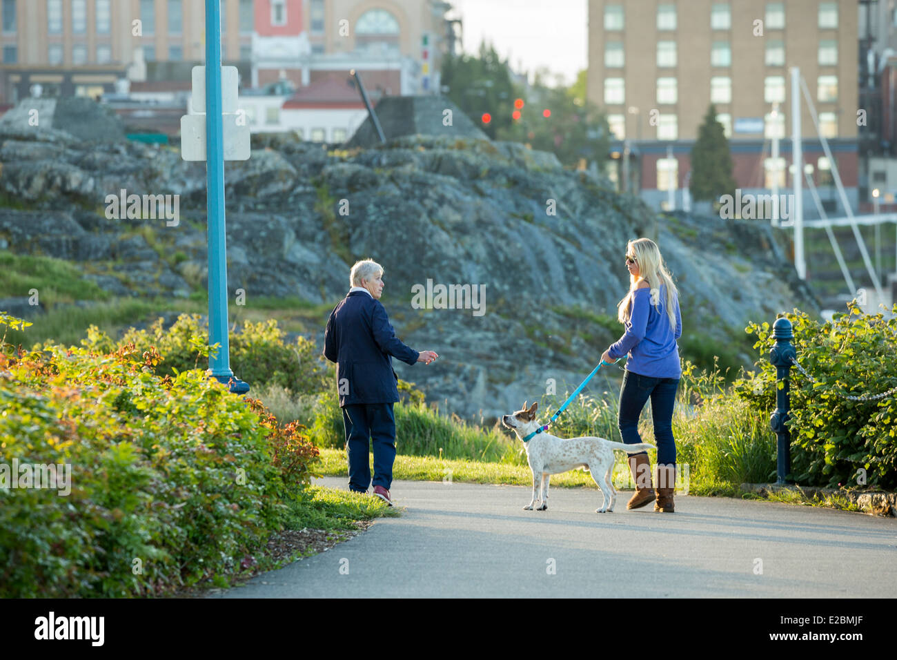 Two women walking dog in early morning-Victoria, British Columbia, Canada. Stock Photo