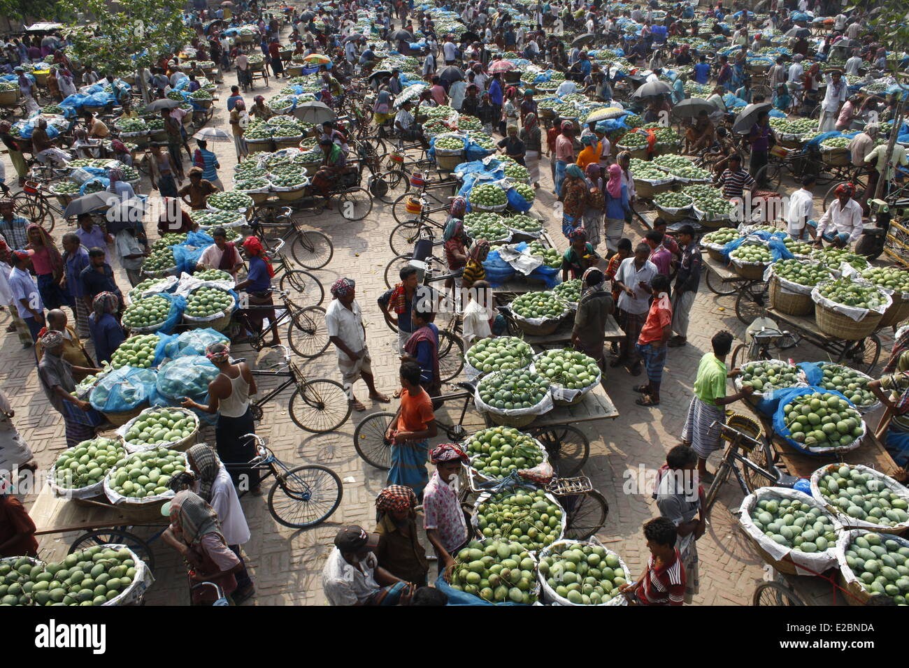 Mango market bangladesh hires stock photography and images Alamy