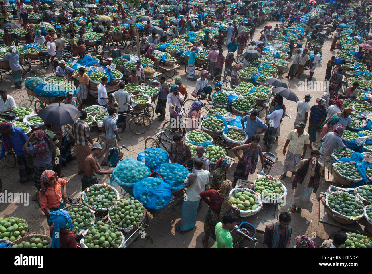 Chapainawabganj, Bangladesh, 17th June, 2014. Wholesale mango market at Kansat. Chapainawabganj, Bangladesh. Bangladesh generally produces about 800,000 metric tons of mangoes on 51,000 hectors of land. Chapainawabganj alone produces almost 200,000 tons of mangoes on 23,282 hectares of land. Credit:  zakir hossain chowdhury zakir/Alamy Live News Stock Photo