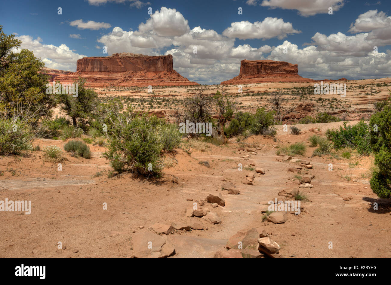 "The Merrimack" (left) and "The Monitor" (right); named for their