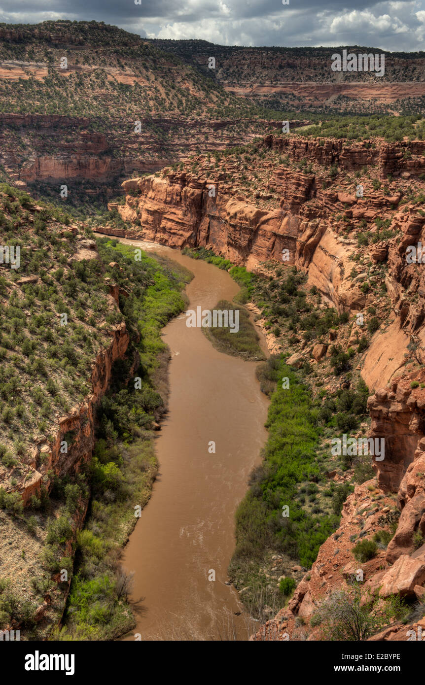 The Dolores River downstream from Naturita, Colorado Stock Photo Alamy