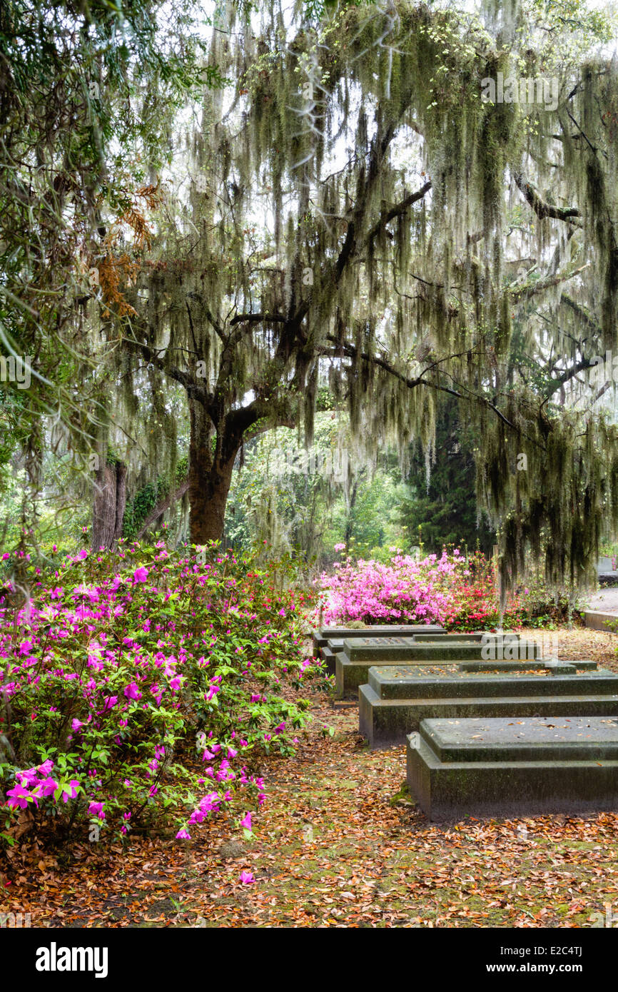 Springtime at Bonaventure Cemetery in Savannah, Georgia. Stock Photo