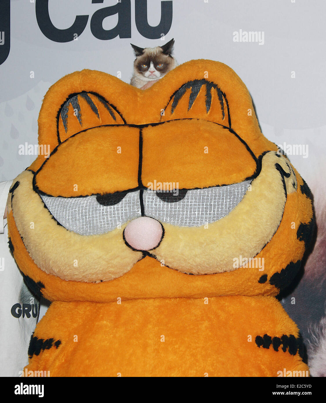 Las Vegas, Nevada, USA. 18th June, 2014. Grumpy Cat and cartoon character  Garfield attend the 2nd day of the 2014 Licensing Expo on June 18, 2014 at  Mandalay Bay Convention Center in