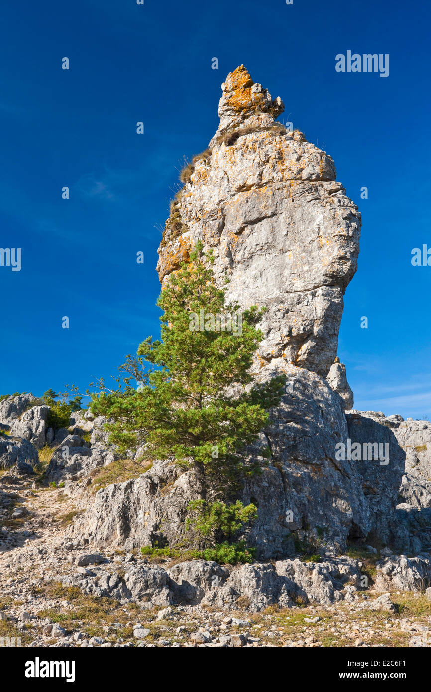 France, Lozere, the Causses and the Cevennes, Mediterranean agro pastoral cultural landscape, listed as World Heritage by UNESCO, Cevennes National Park (Parc National des Cevennes), listed as Biosphere Reserve by UNESCO, Causse Mejean, chaos dolomitic Nîmes le Vieux Stock Photo