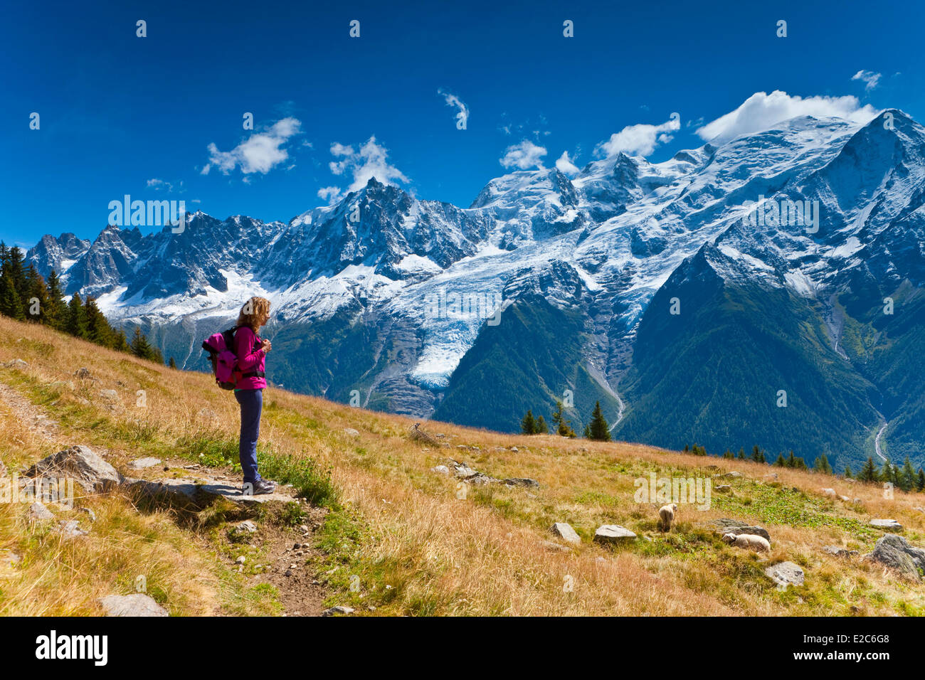 France Haute Savoie Massif Des Aiguilles Rouges Carlaveyron Nature 
