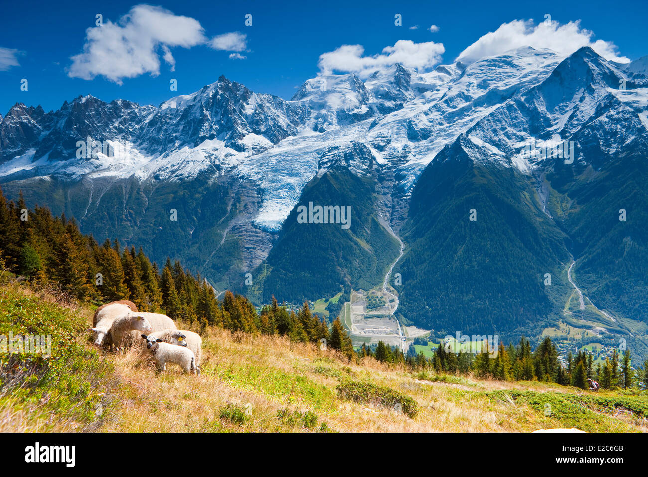 France Haute Savoie Massif Des Aiguilles Rouges Carlaveyron Nature France Haute Savoie Massif Des Aiguilles Rouges Carlaveyron Nature