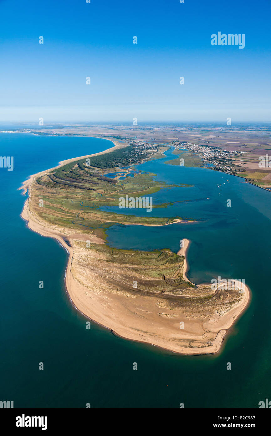 France, Vendee, La Faute sur Mer, Pointe d'Arτay (aerial view) Stock Photo