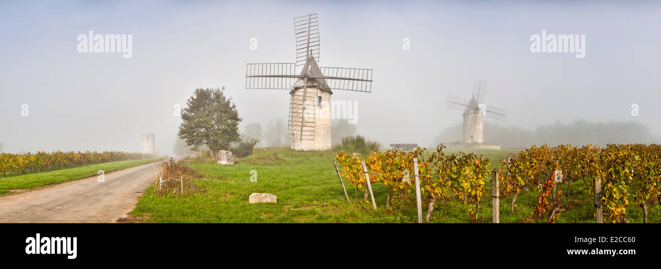 France, Gironde, Montagne, Bordeaux and Saint Emilion vineyards, mills of Chateau Calon Stock Photo