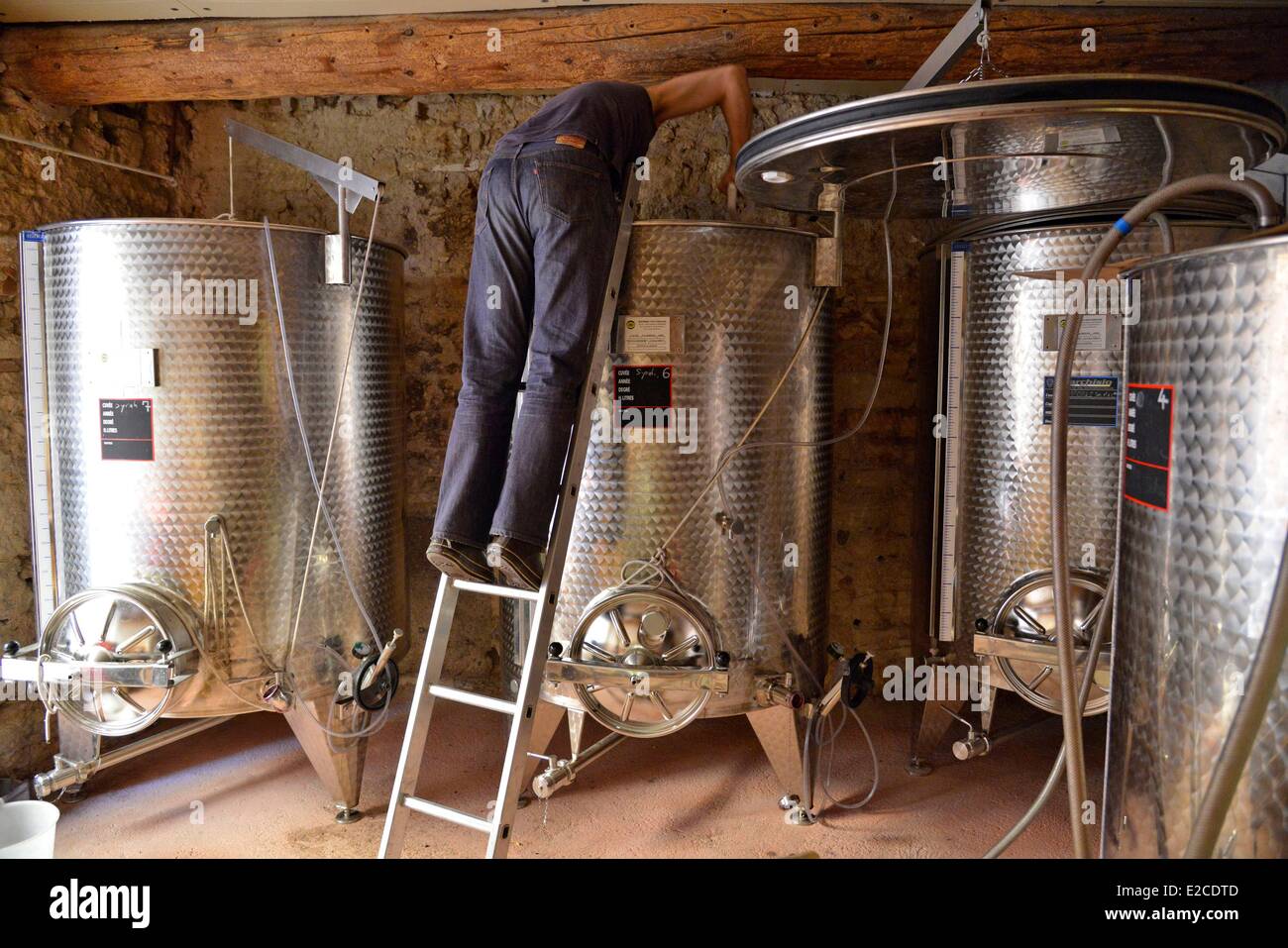France, Herault, Boujan sur Libron, domain of the Ancienne Cordonnerie, peration of trapping which consists in pushing the hat of marc in the juice in fermentation to favor the distribution of the phenolic compounds and the aromas in a tank Stock Photo