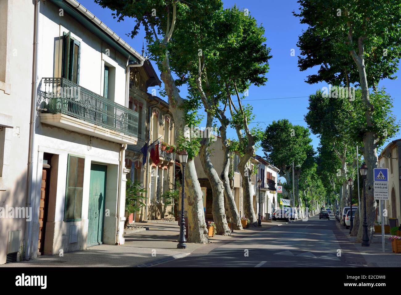 France, Herault, Cers, main street of village lined with plane trees