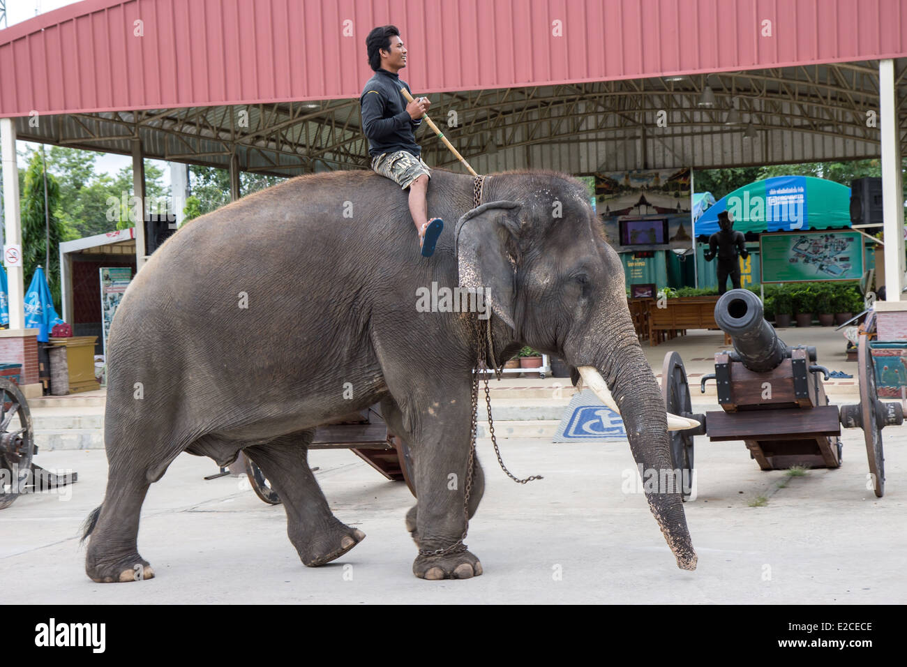 ride an elephant at Prommitr film studio Stock Photo