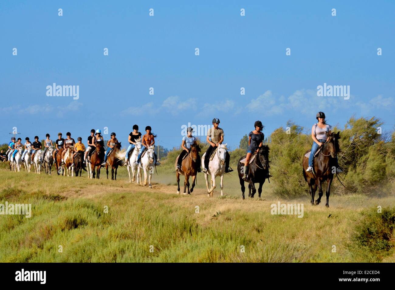 Cavalier On Horse High Resolution Stock Photography And Images Alamy