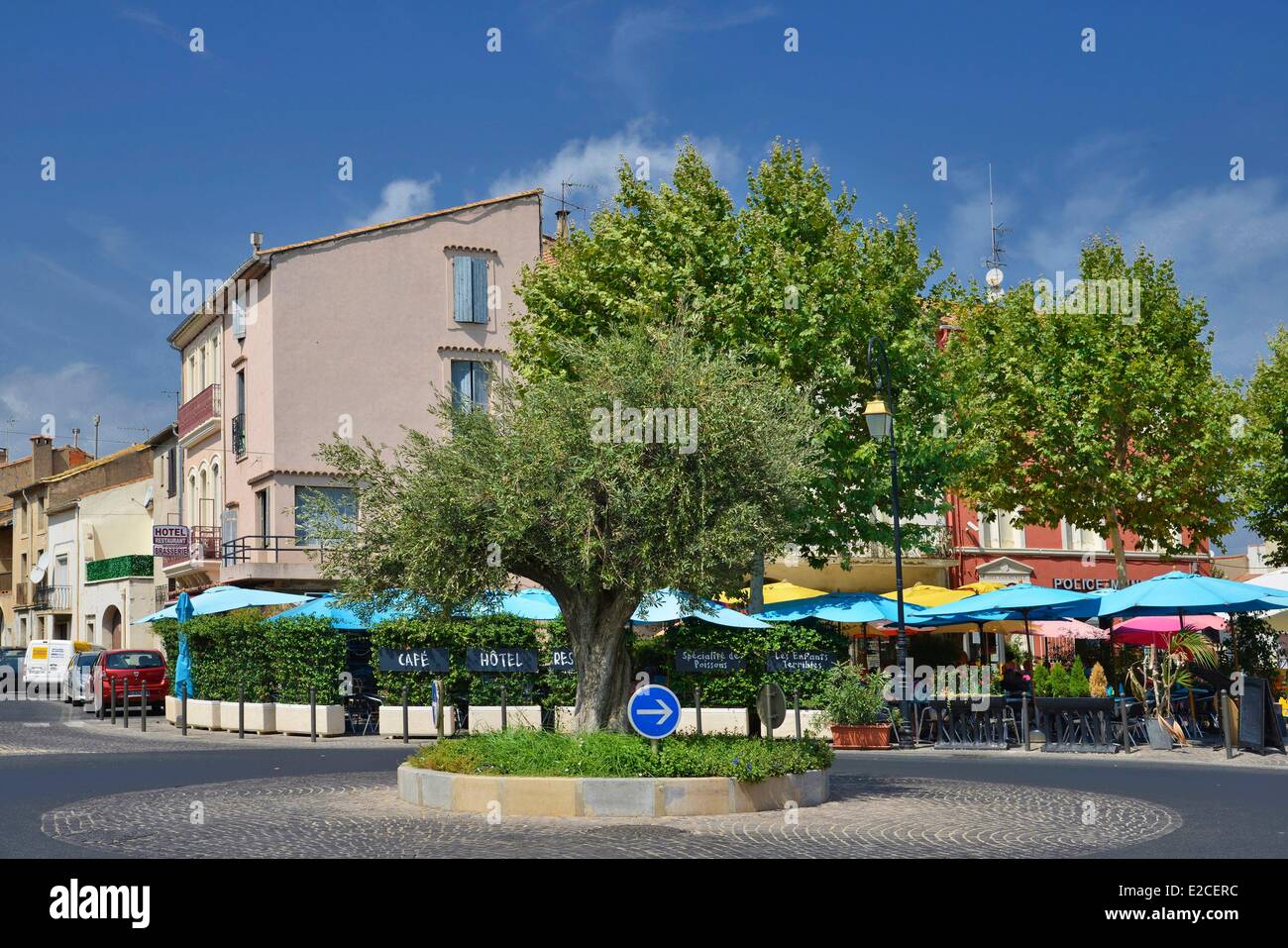 France, Herault, Villeneuve les Beziers, Place Michel Solans, olive tree  planted in the middle of a traffic circle Stock Photo - Alamy
