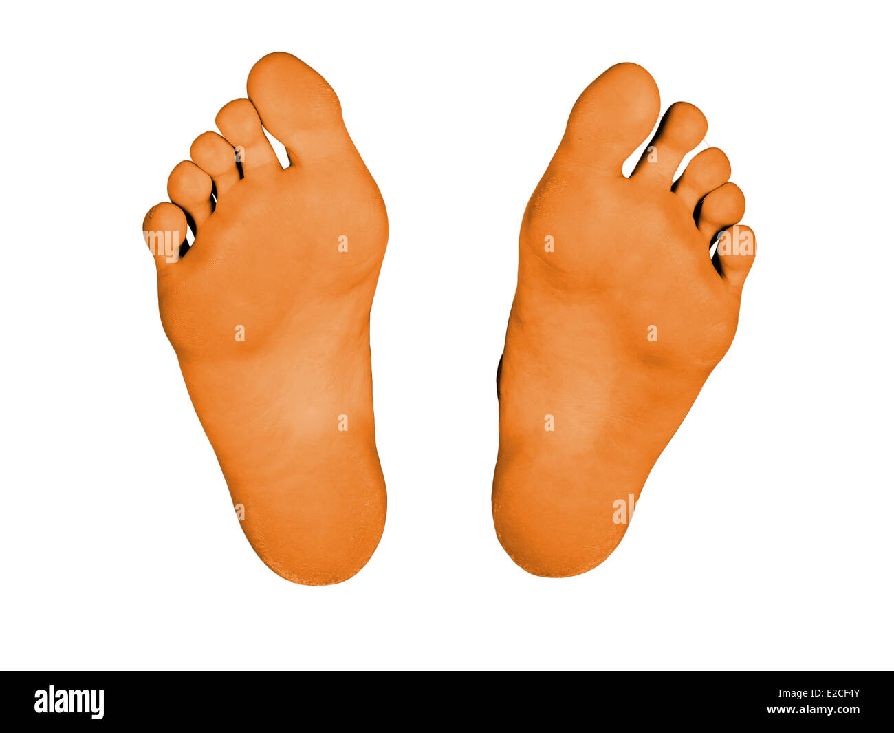 Feet isolated on a white background, orange feet Stock Photo Alamy