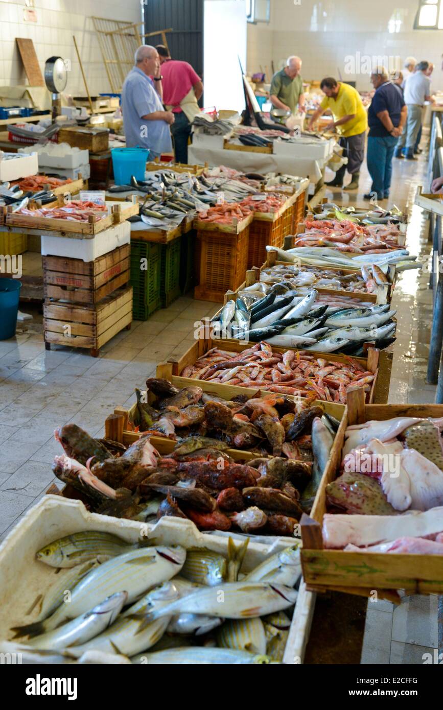 Italy, Sicily, Trapani, historic center, fish market, customers walking in  the middle of the fishmongers stalls Stock Photo - Alamy