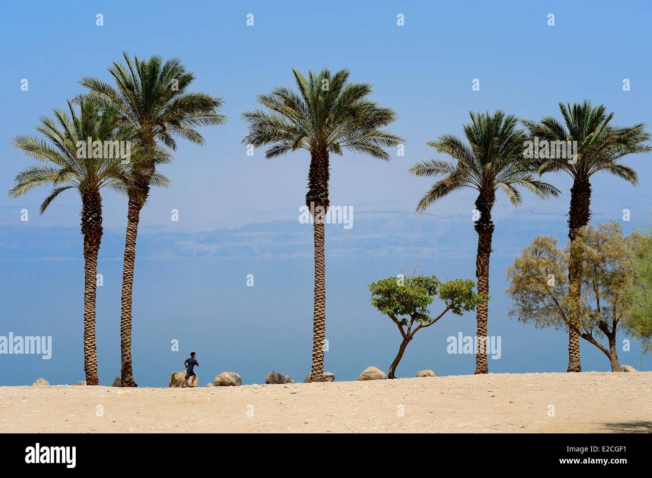 Israel, Southern district, Ein Gedi Beach on the Dead Sea Stock Photo