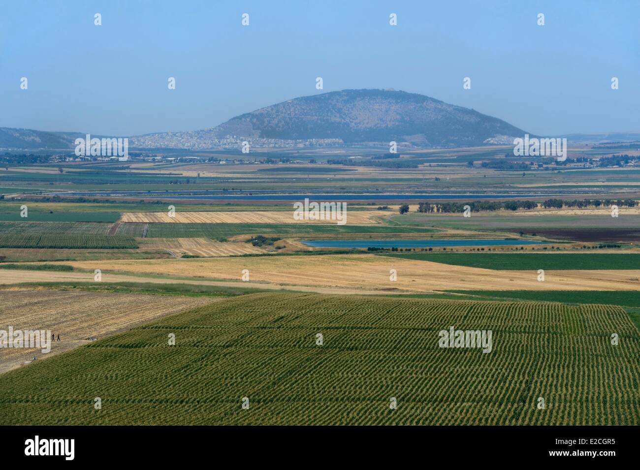 Israel, Northern District, Galilee, Jezreel Valley and the Mount Tabor in the background Stock Photo