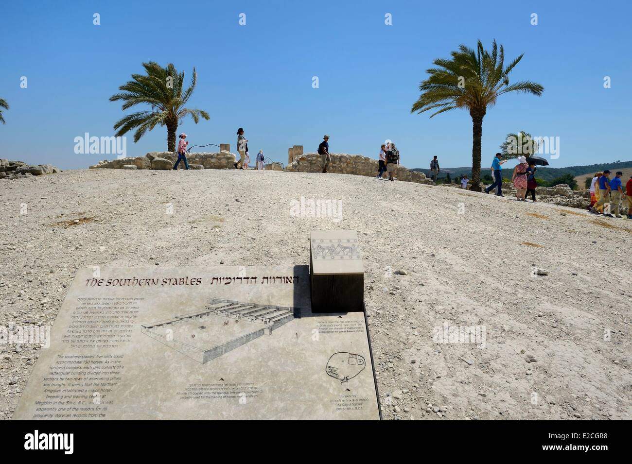 Семь Дней До Мегиддо Купить Книгу