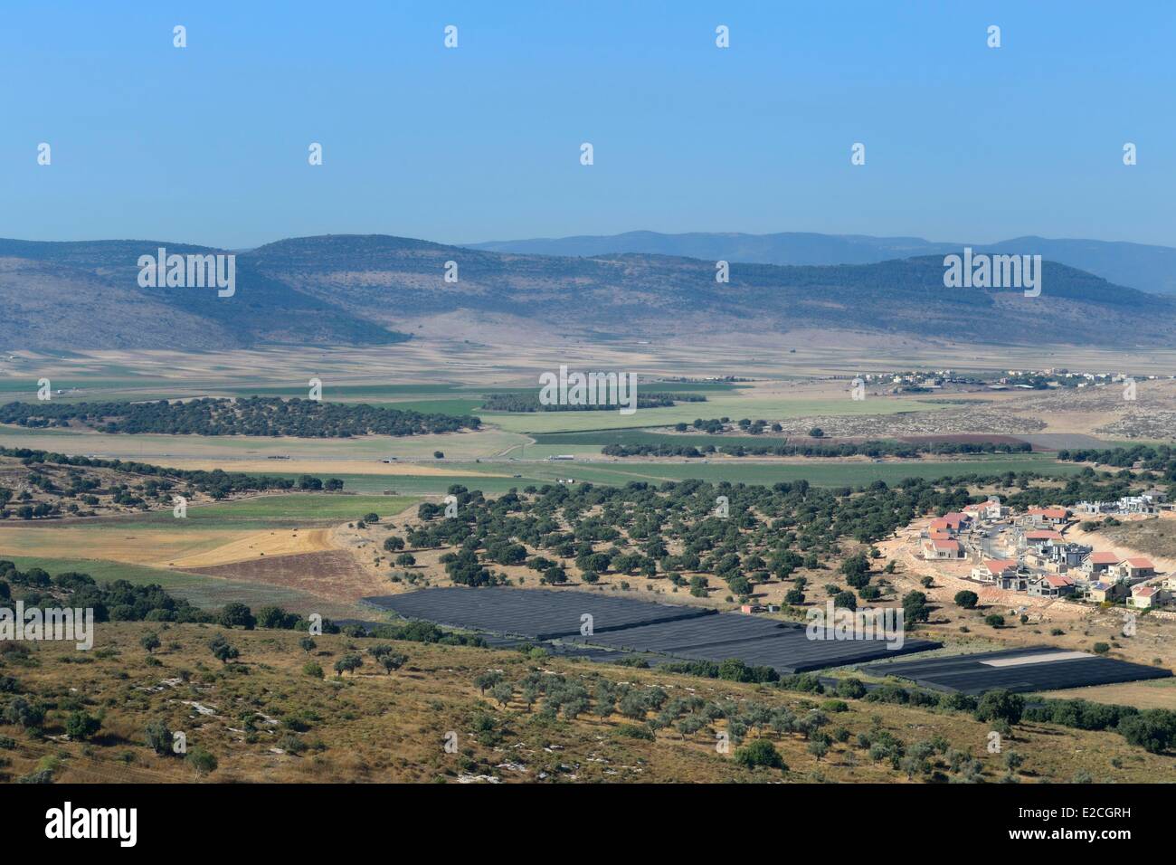 Israel, Northern District, Galilee, Jezreel Valley near Nazareth, Hosha'Aya Kibbutz Stock Photo