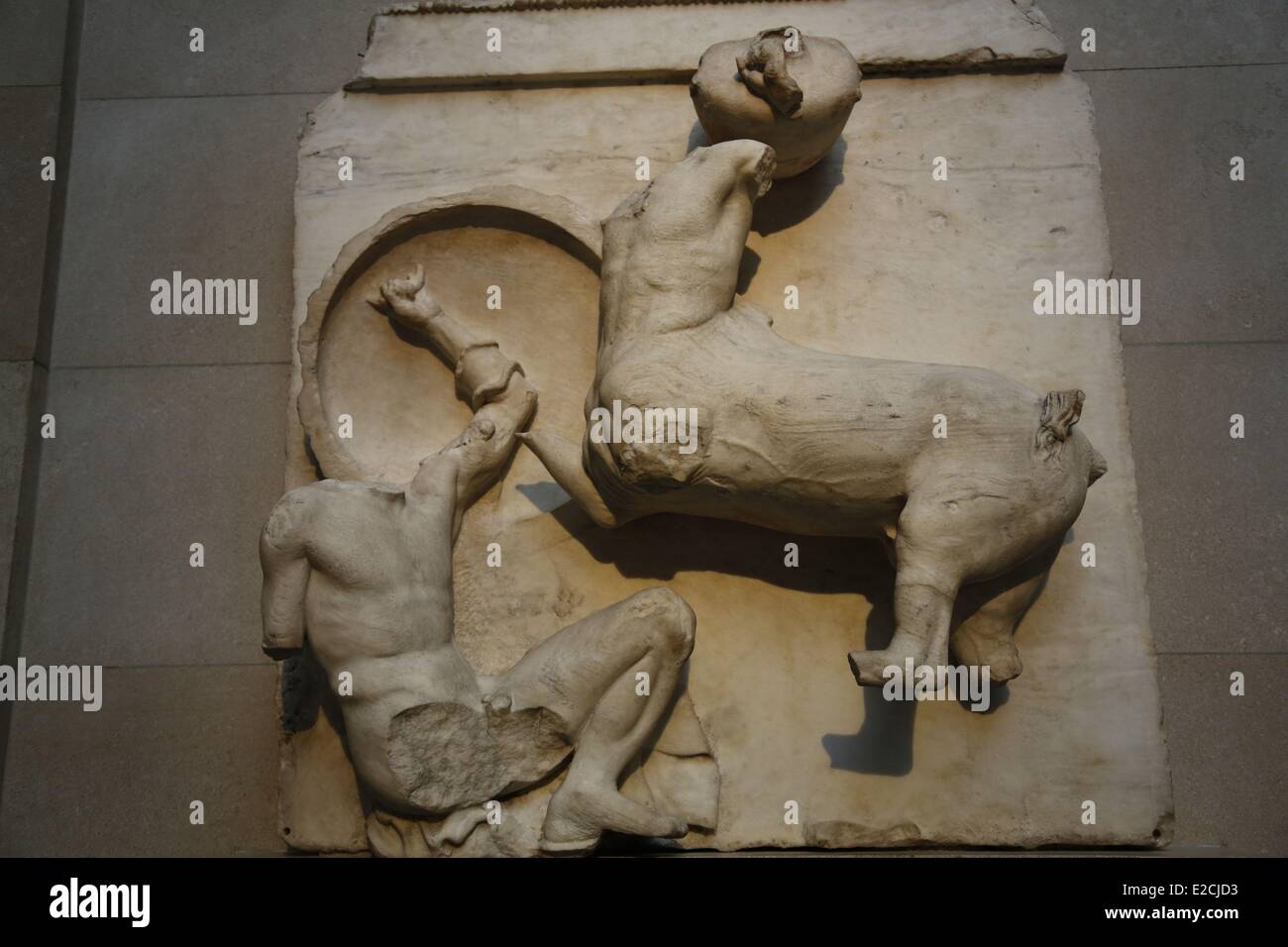 United Kingdom, London, British Museum, Parthenon sculptures, metopes