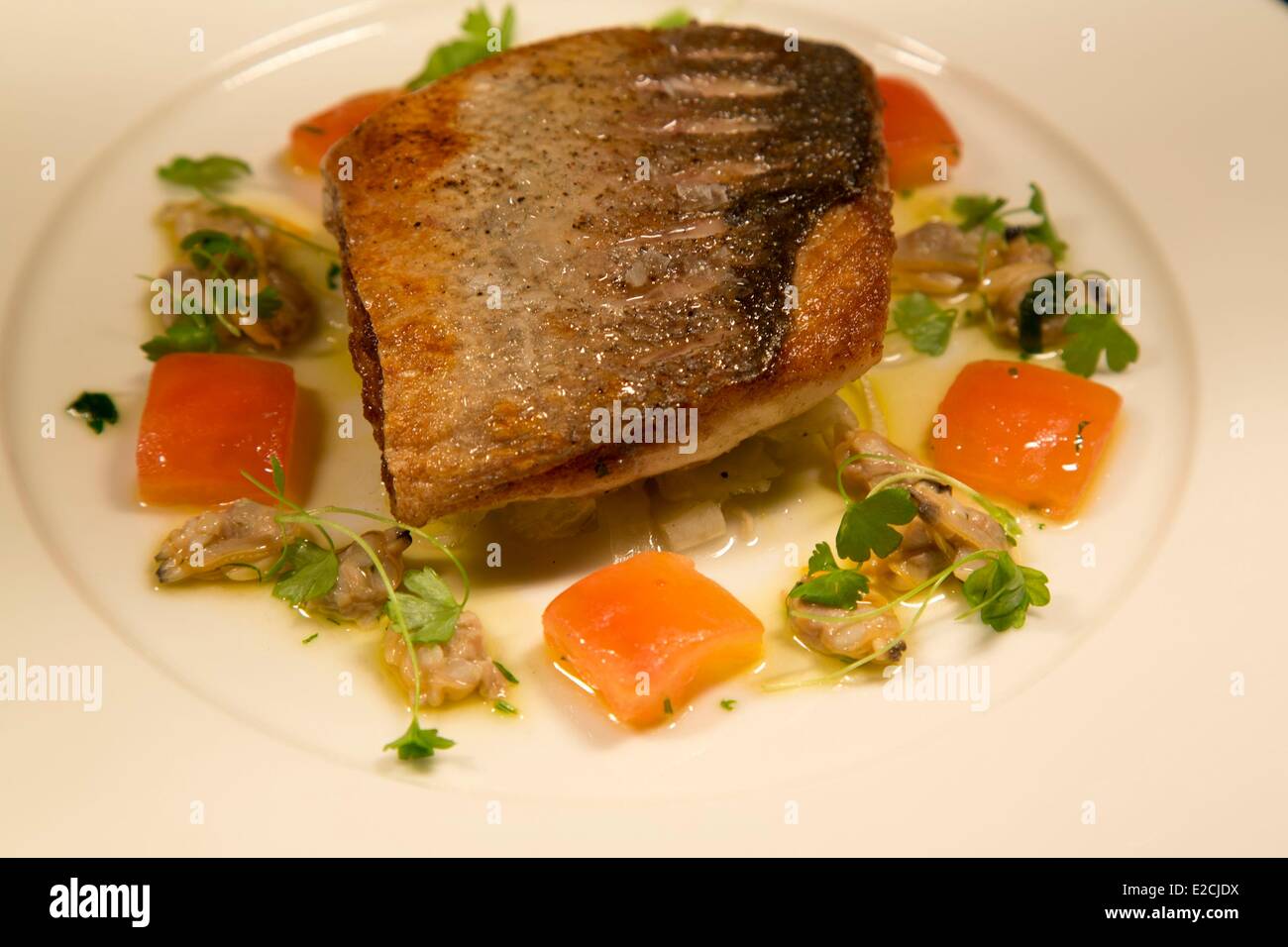 United Kingdom, London, Saint Pancras, Hotel Pullman, restaurant, mackerels dish Stock Photo