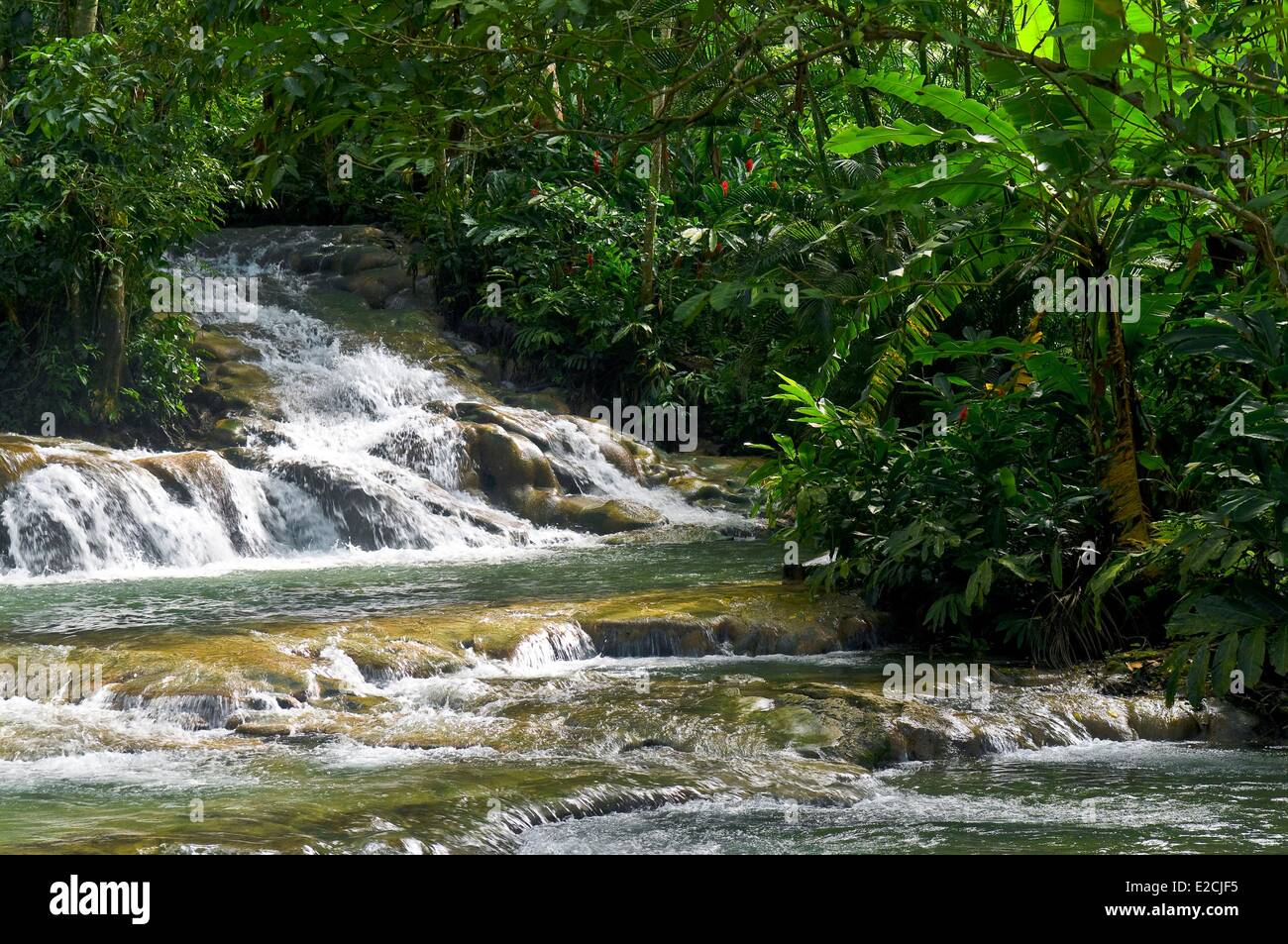 Jamaica, West Indies, St Ann parish on noth coast, river and water falls of Dunn's River fall Stock Photo