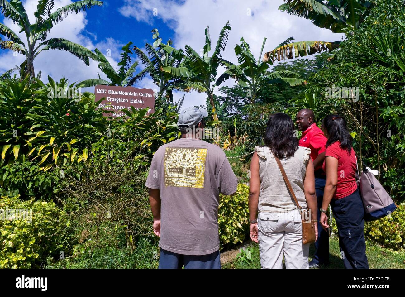 Jamaica, West Indies, region of Blue Mountains, parish of St Andrew