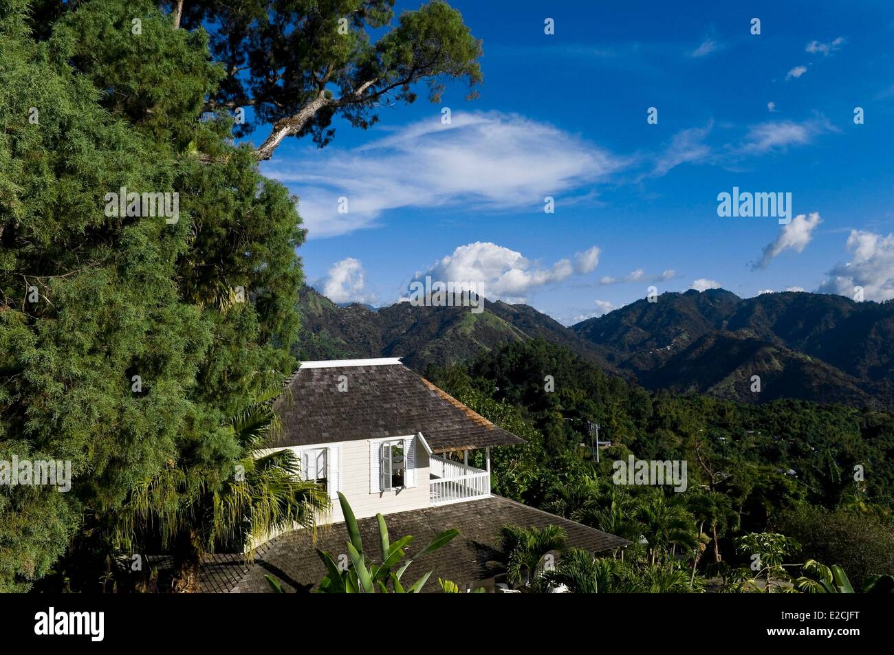 Jamaica, West Indies, Blue Mountains, house and studio of Chris
