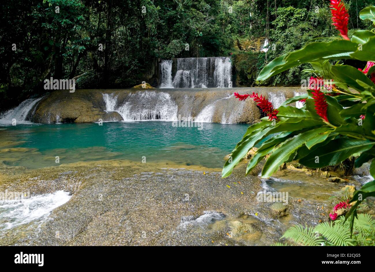 Jamaica, West Indies, parish of St Eliszabeth, south west coast of