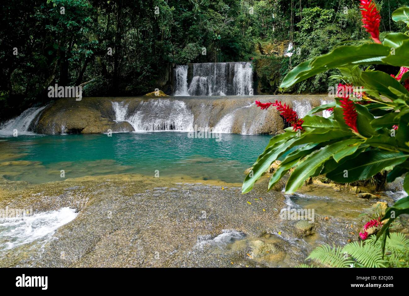 Jamaica, West Indies, parish of St Eliszabeth, south west coast of island, YS Falls attraction on Black Rver Stock Photo