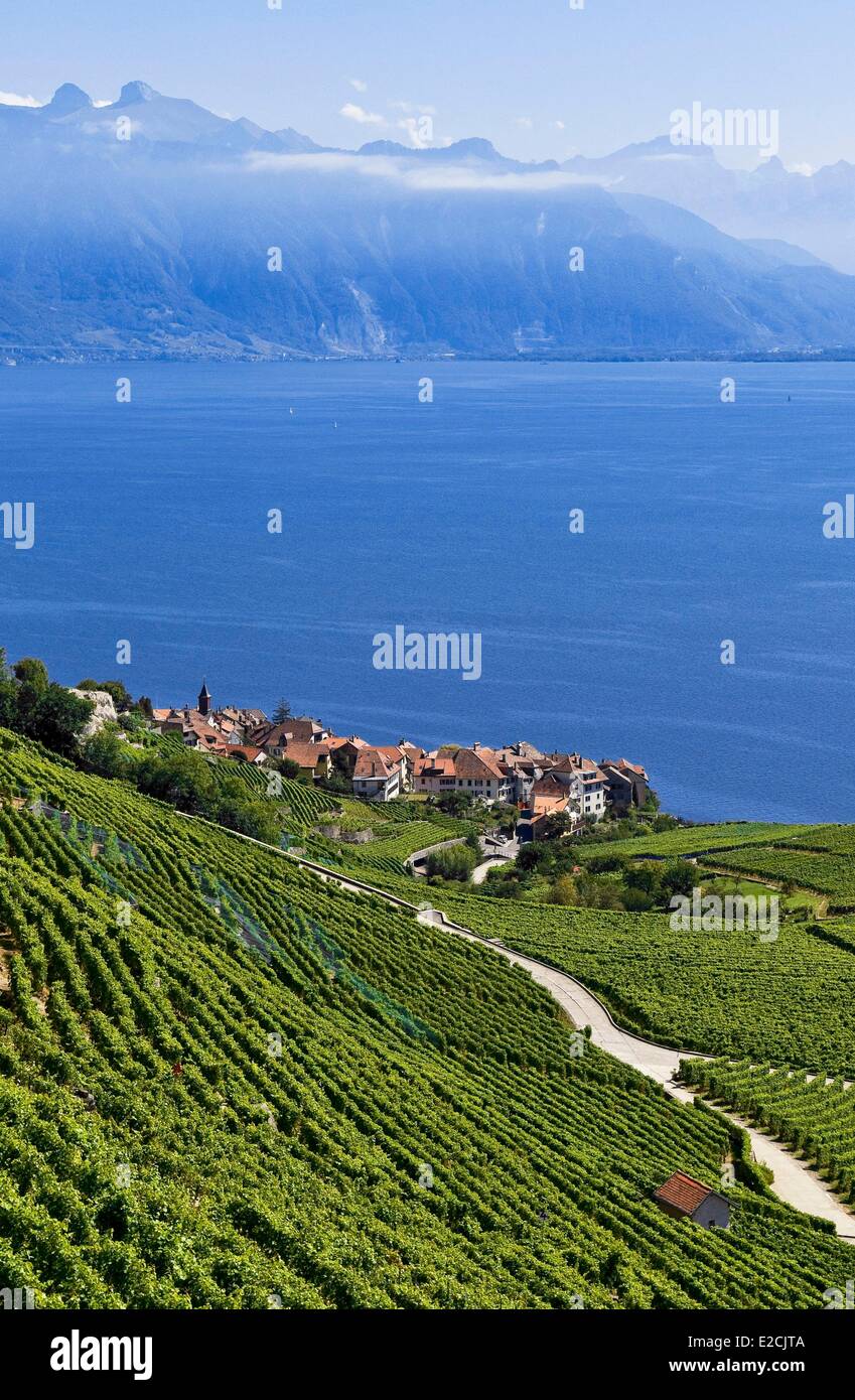 Switzerland, Canton of Vaud, Lavaux Vineyard Terraces listed as World ...