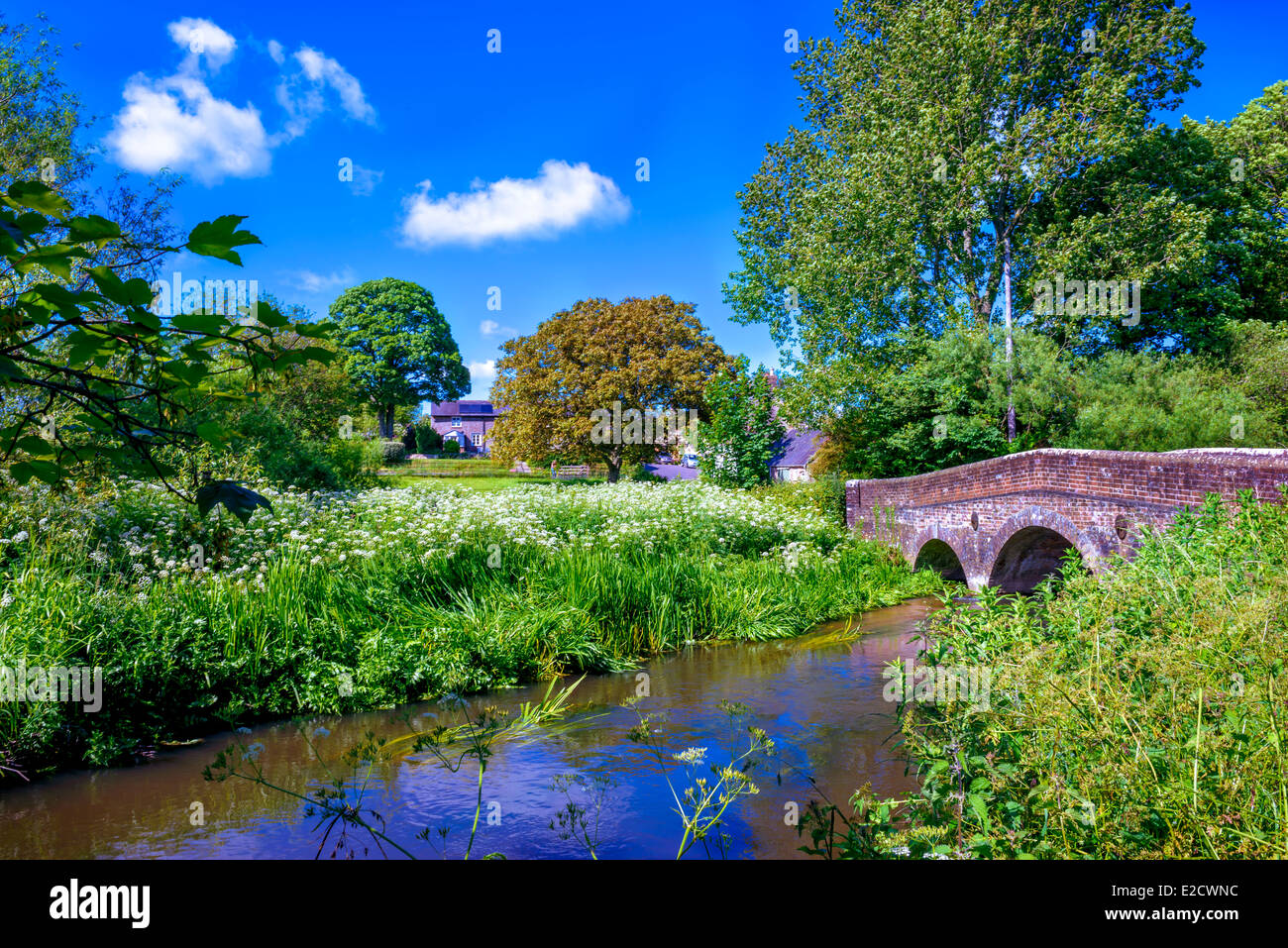 River and bridge in lower Bockhampton Dorset England Stock Photo