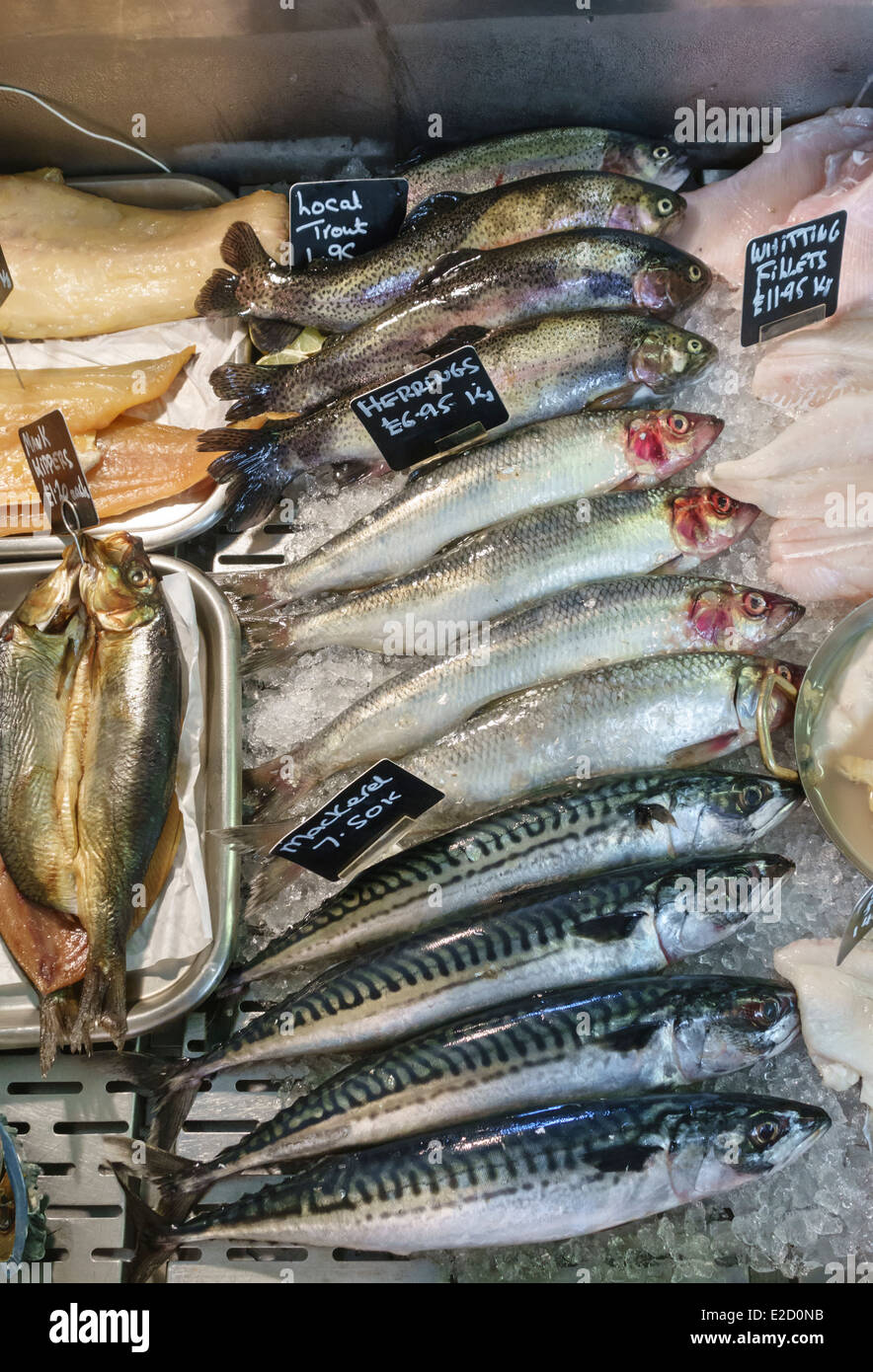 Fresh fish for sale in a local fishmonger's shop, Wales, UK - trout, herring and mackerel Stock Photo