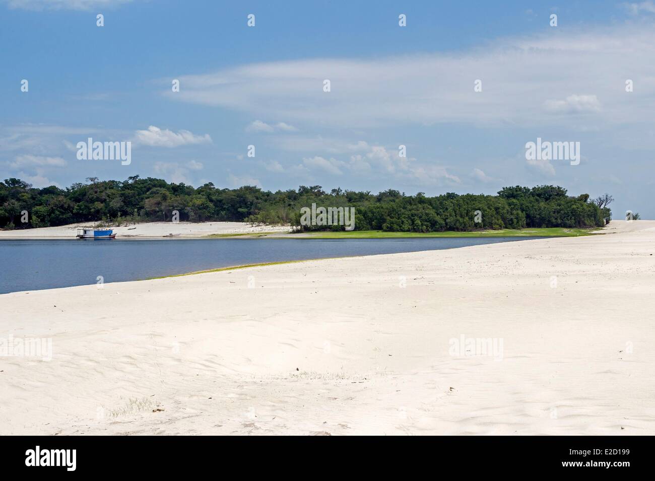Brazil Amazonas state Amazon river basin beach along the Rio Negro