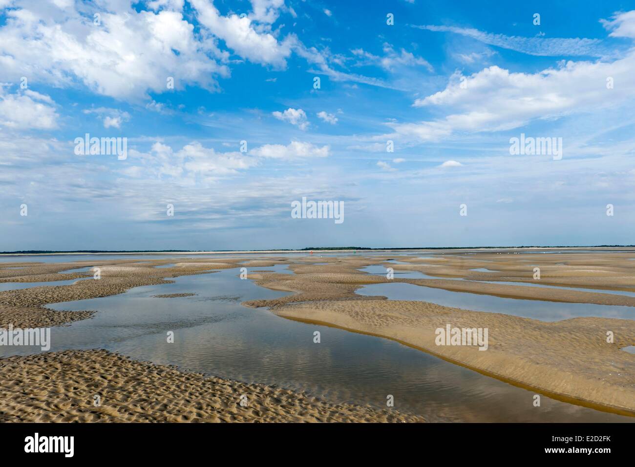 France Somme Baie de Somme typical landscape Stock Photo Alamy