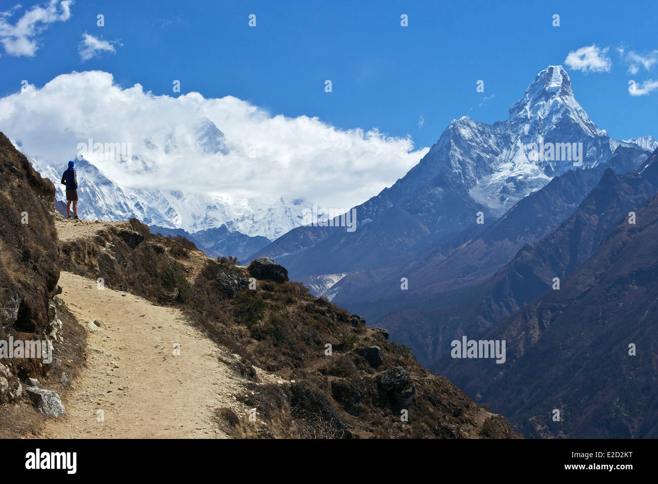 Trekker admires Ama Dablam from path between Namche Bazaar and Everest View Hotel, Solukhumbu District  Nepal Asia Stock Photo