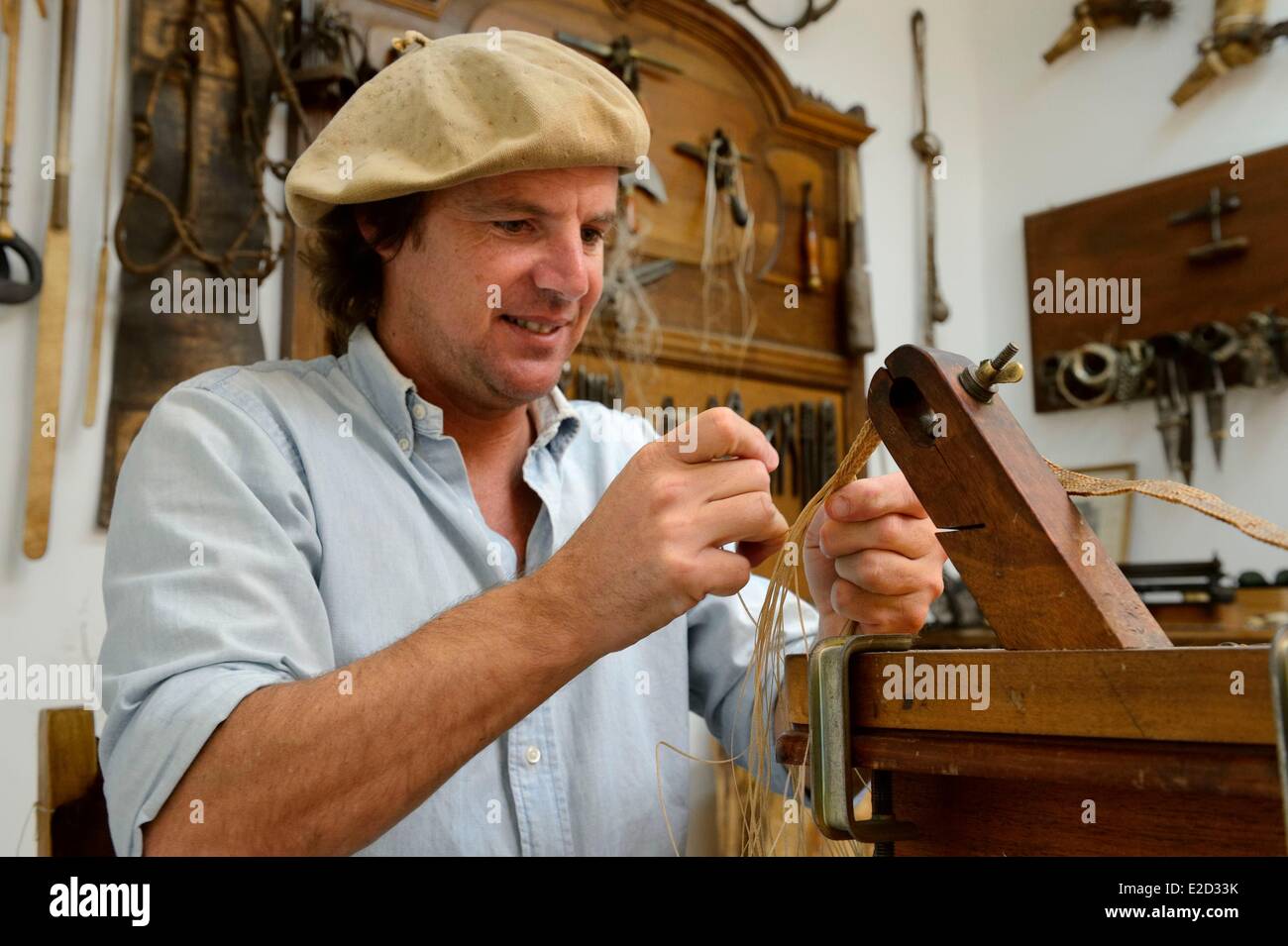 Leather harness hi-res stock photography and images - Alamy