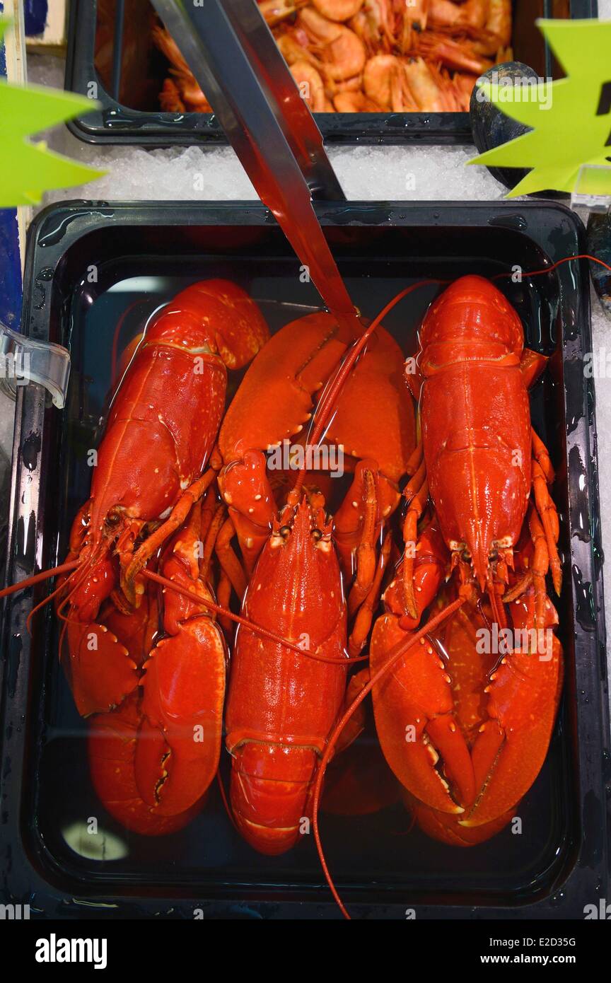 and food hires stock photography and images Alamy