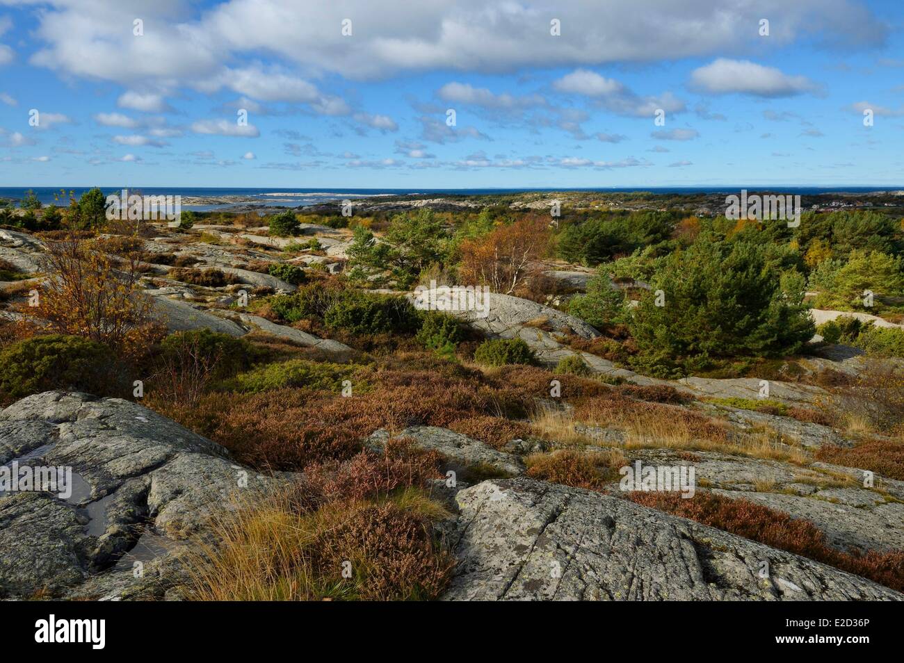 Sweden Vastra Gotaland Koster Islands Sydkoster wild landscape in autumn Stock Photo