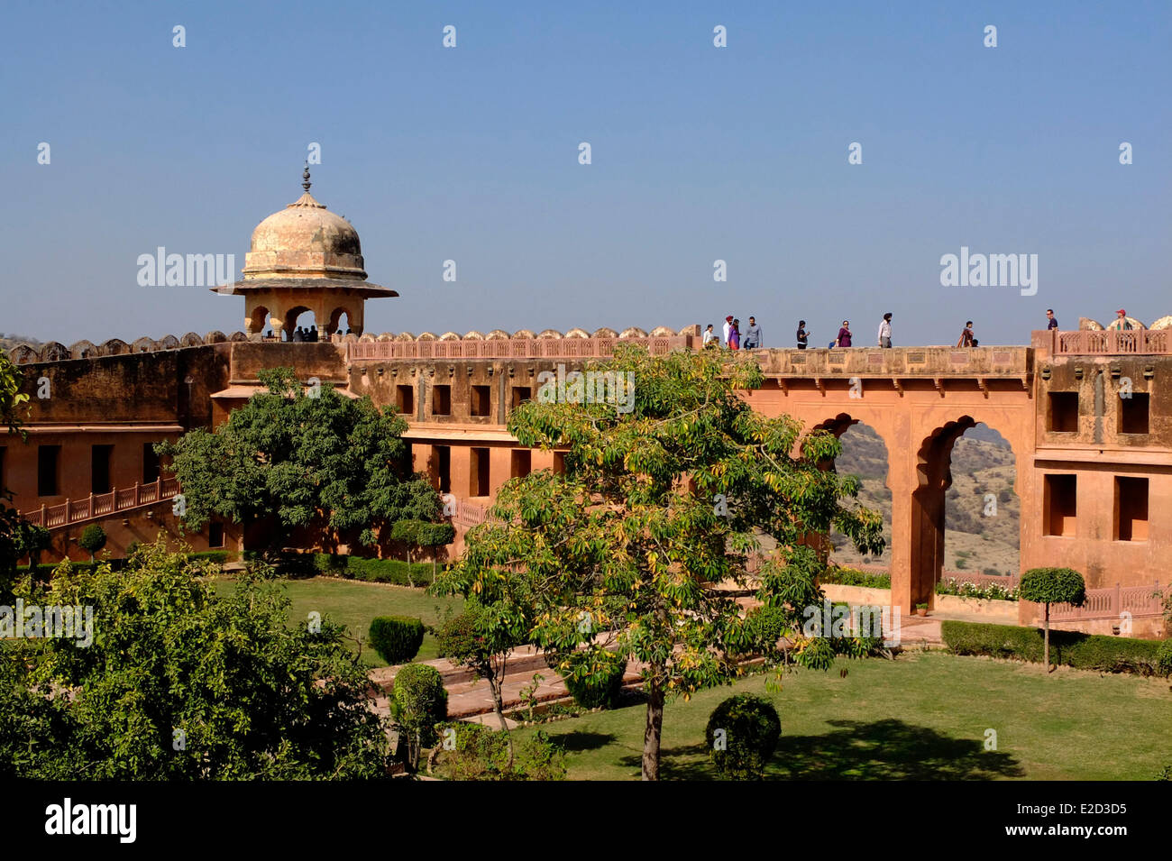 Gardens of Jaipur Wallpaper by MINDTHEGAP  Vertigo Home