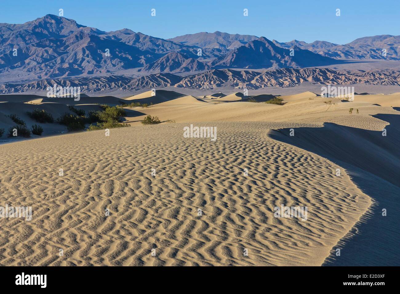 United States California Death Valley National Park Mesquite Flat Sand 