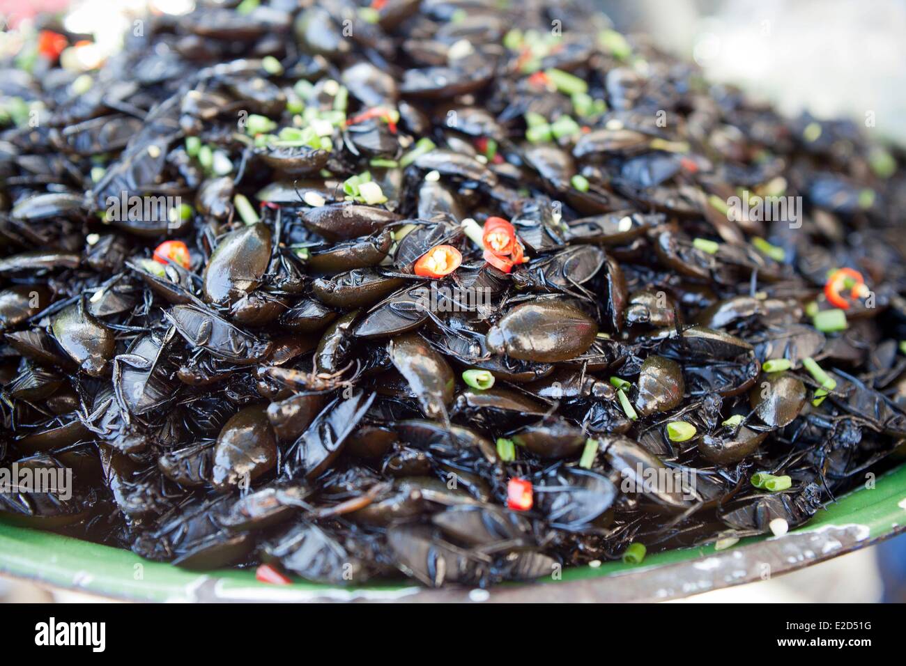 Cambodia fried cockroach Stock Photo Alamy