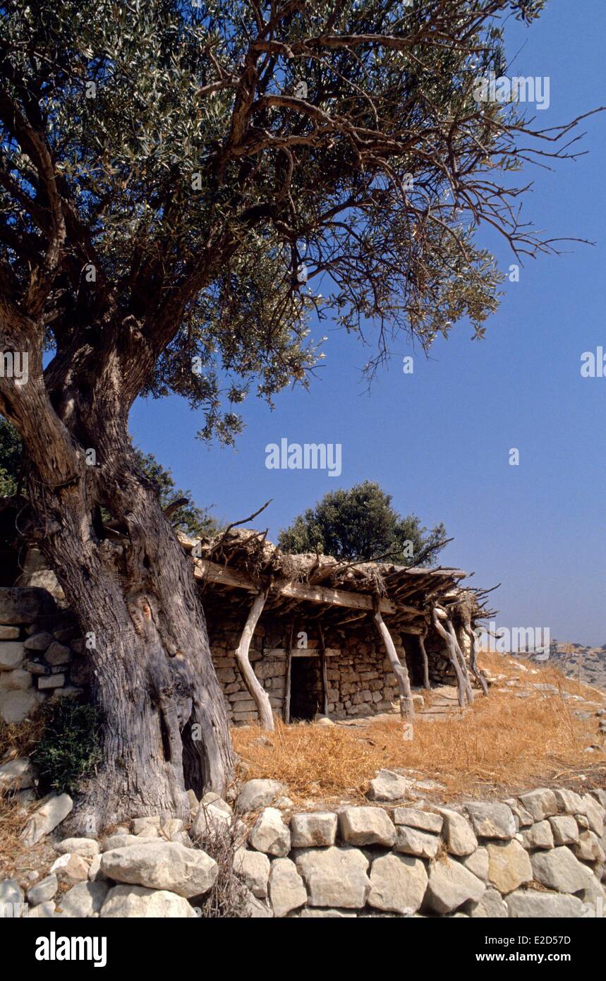 Cyprus Pissouri shepherd's hut Stock Photo