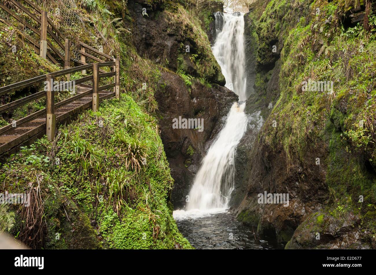 United Kingdom Northern Ireland County Antrim Glens of Antrim in the cascade of Laragh Glenariff Forest Park Stock Photo