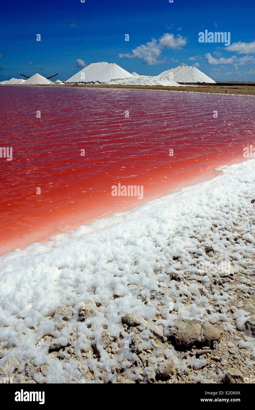 Dutch West Indies Bonaire island Salt Pans and lake mountains of salt
