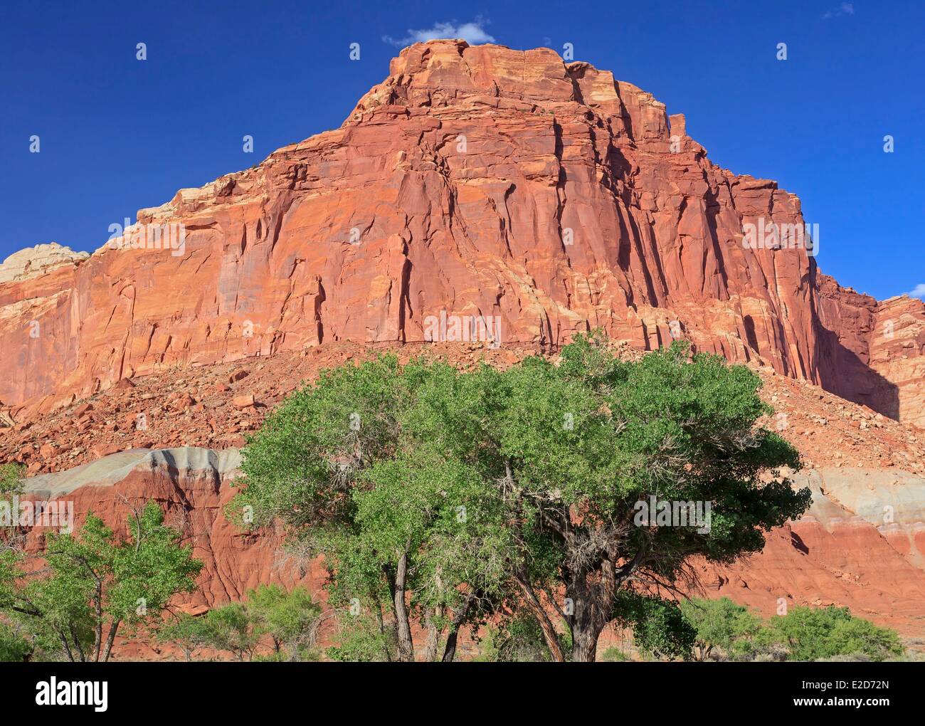 United States Utah Colorado Plateau Capitol Reef National Park Fruita oasis Wingate Sandstone cliff over Castle Meadow from the Stock Photo
